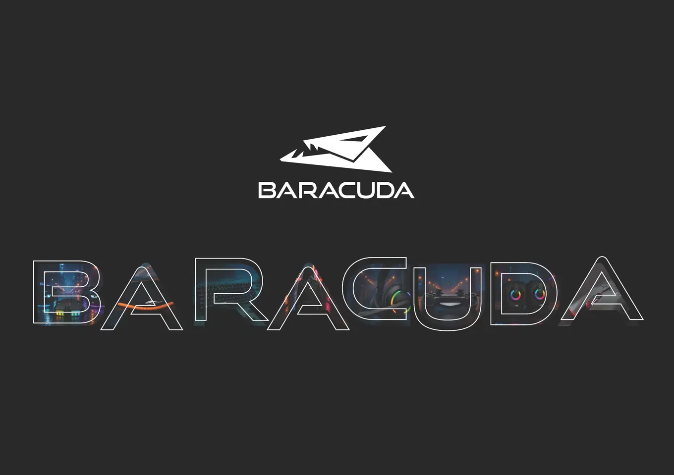 Browse our catalog